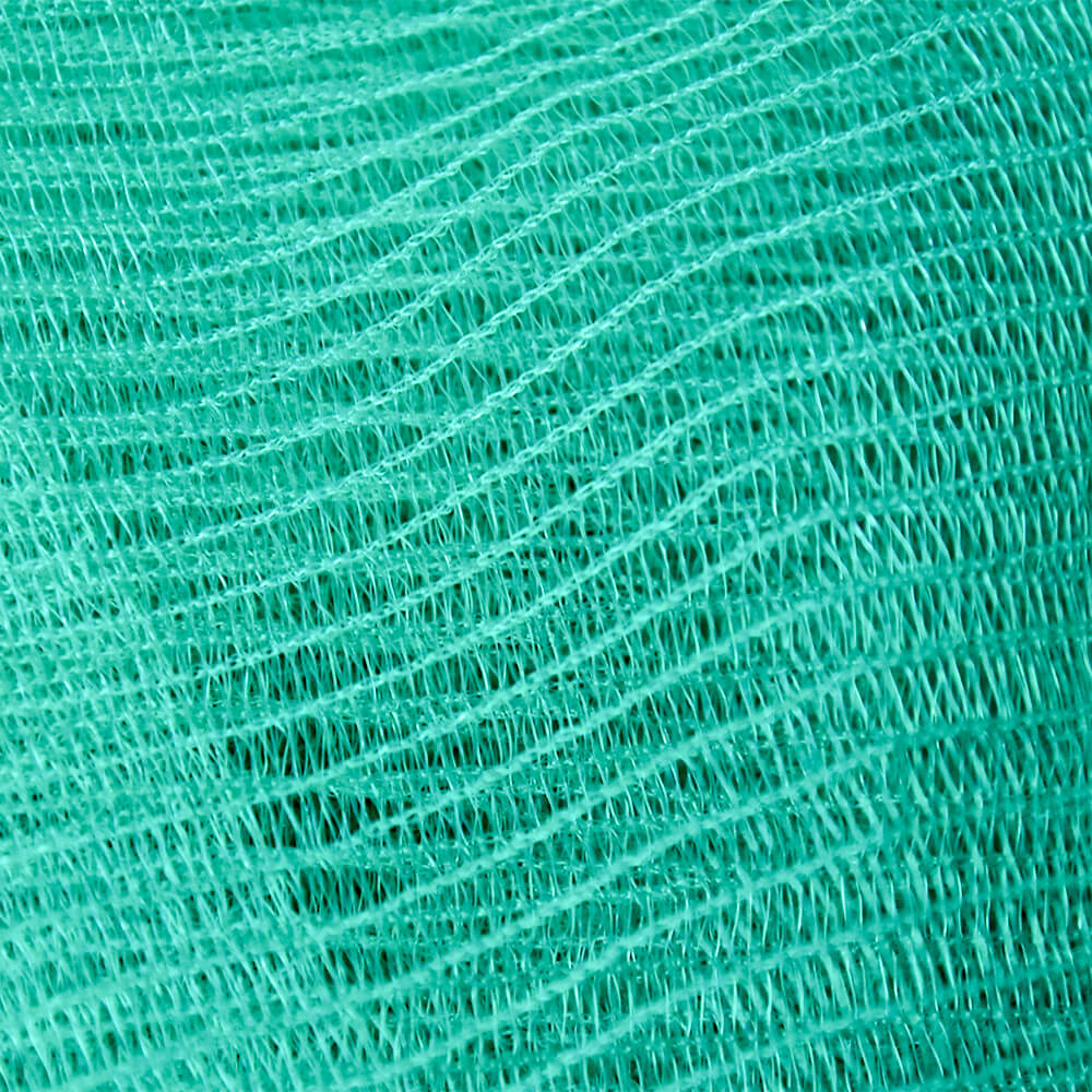 building scaffold net