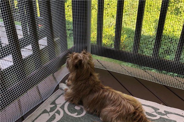 Pets fencing BOP plastic mesh