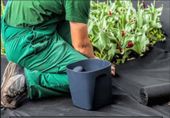 Non Woven Fabric Roll