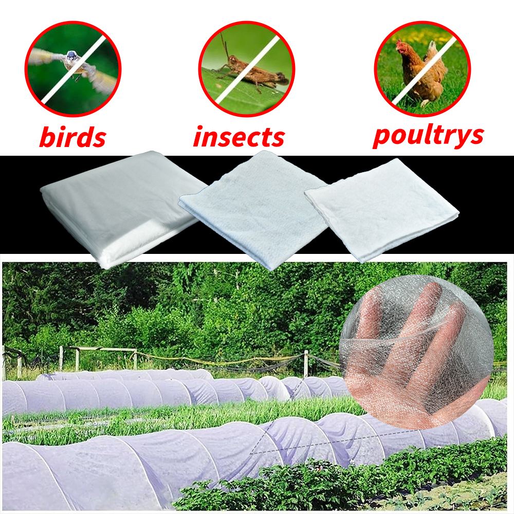 Nonwoven Polypropylene Agriculture Non Woven Fabric for Greenhouse