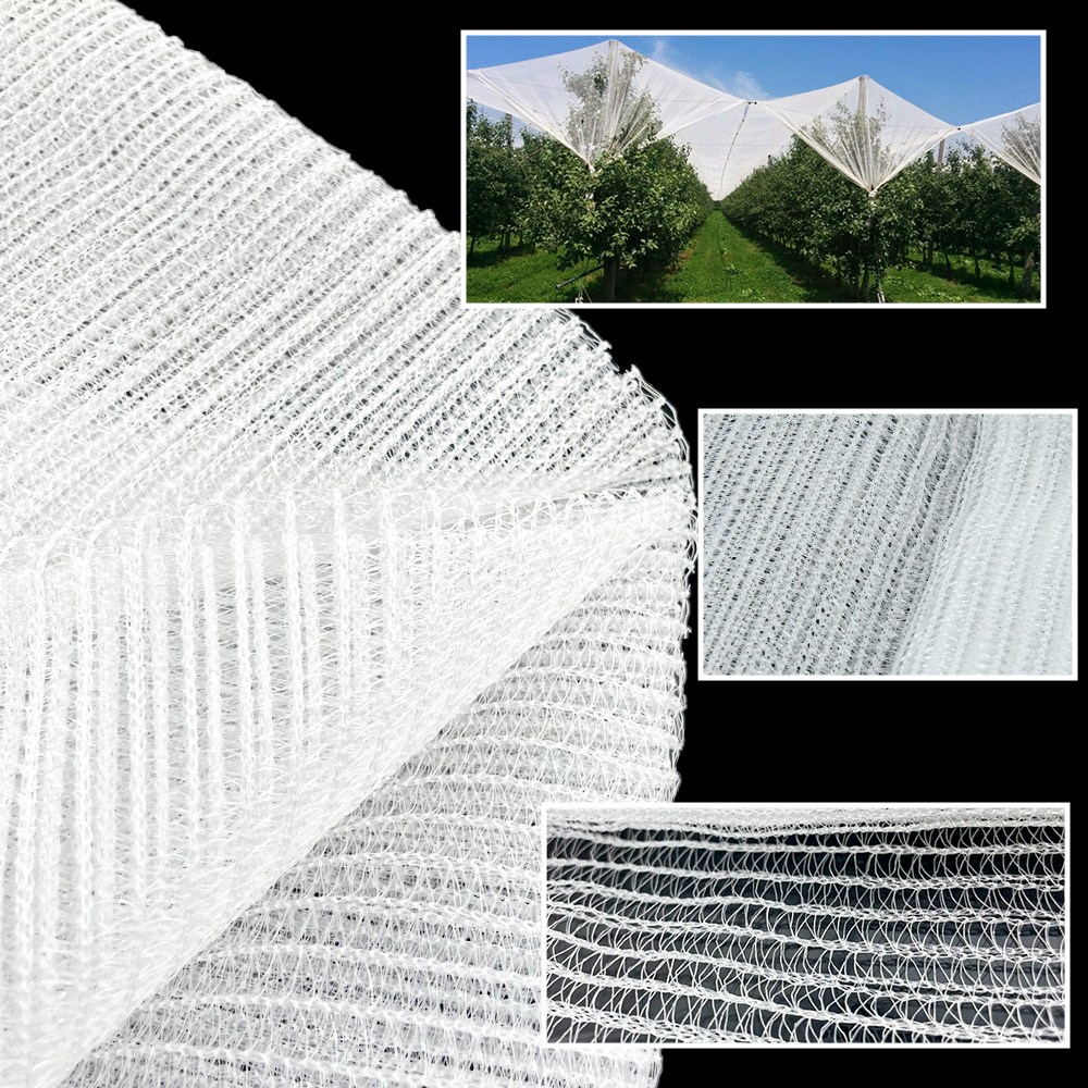 Agricultural HDPE Plastic Anti Hail Mesh Net White Hail Proof Net 