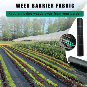 Customization Agricultural Garden Black Plastic Anti Ground Cover