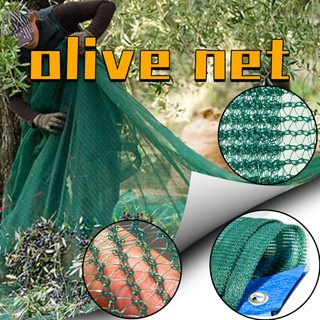 Olive Net for Agriculture 100% HDPE Green Color Harvest Net