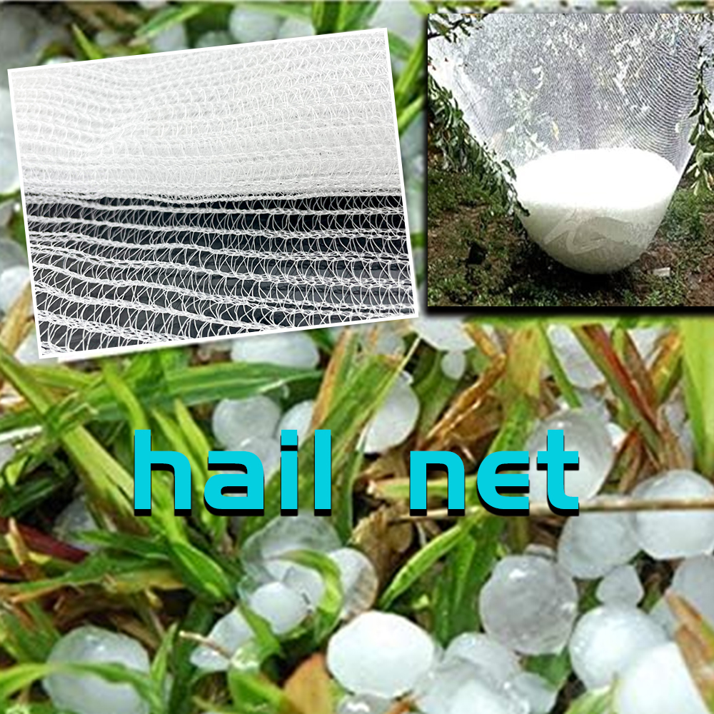 Agricultural HDPE Plastic Anti Hail Mesh Net White Hail Proof Net 