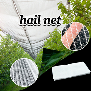 Agricultural HDPE Plastic Anti Hail Mesh Net White Hail Proof Net 