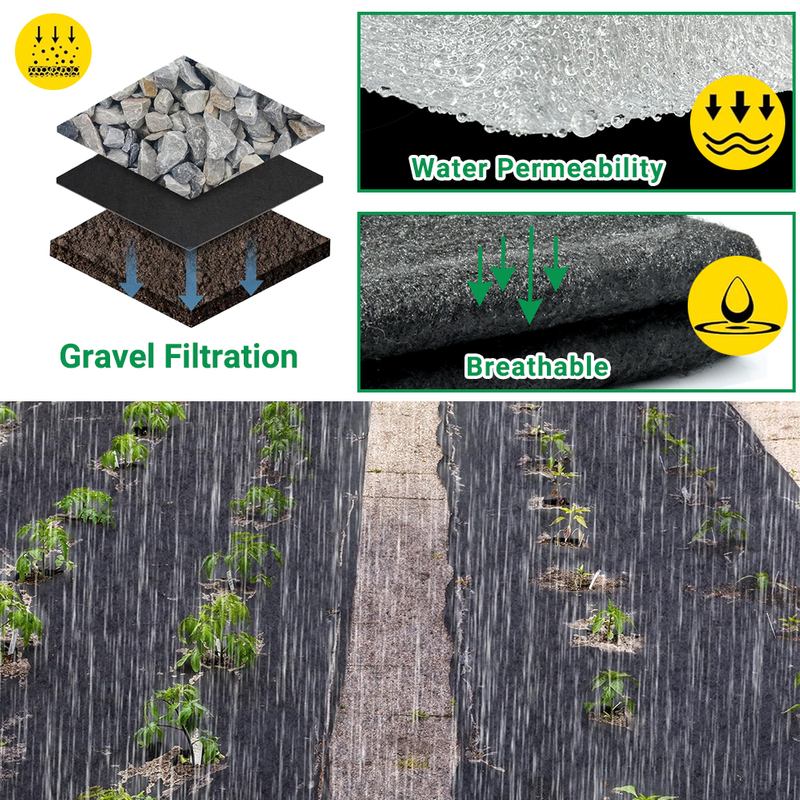 Agricultural Nonwoven Fabric100%PP Material Non Woven Fabric