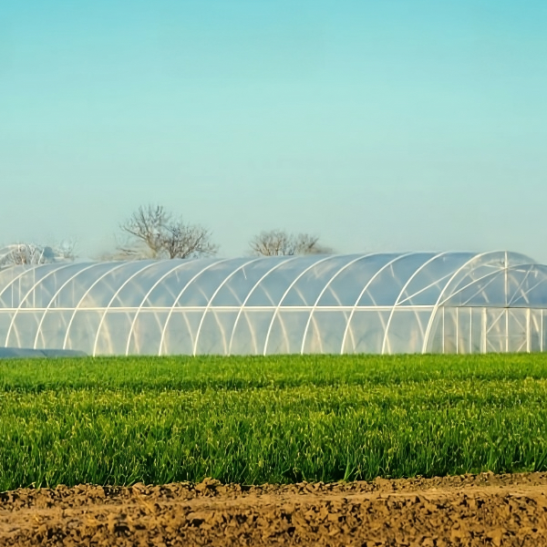 Impact of Agricultural Plastic Netting on Agriculture