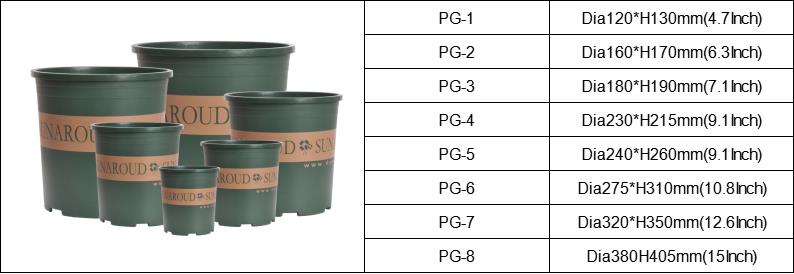 succulent plant flower pot