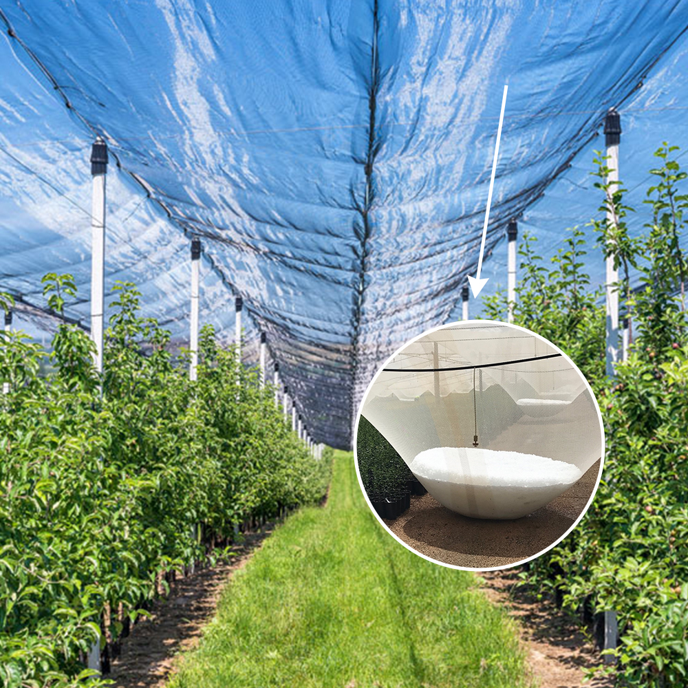 Agricultural HDPE Plastic Anti Hail Mesh Net White Hail Proof Net 