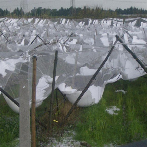 Anti Hail Net Construction System