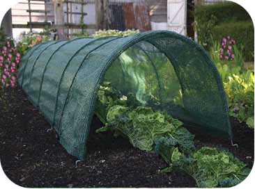 How To Choose Shade Net For Different Vegetable 