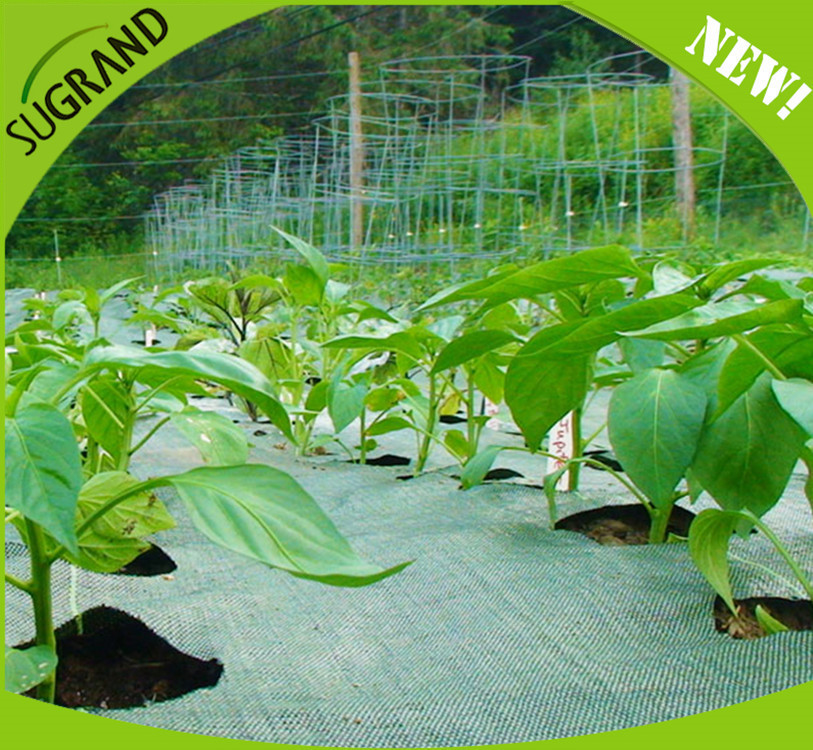 Benefits of Wide Use Ground Cover