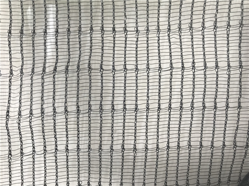 BN&mdash;50B (5)