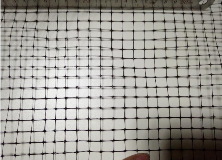 Introduction To Anti Bird Net