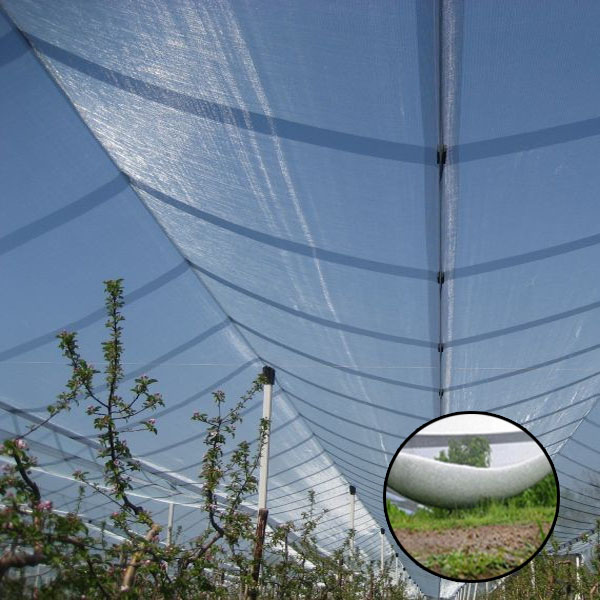 Winter Vegetable Hail Net Helps Disaster Recovery