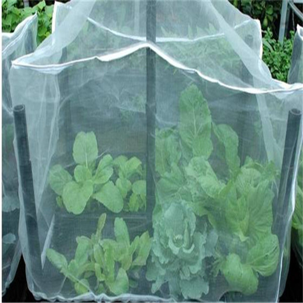 The Anti Insect Net Used in Flower Pest Control