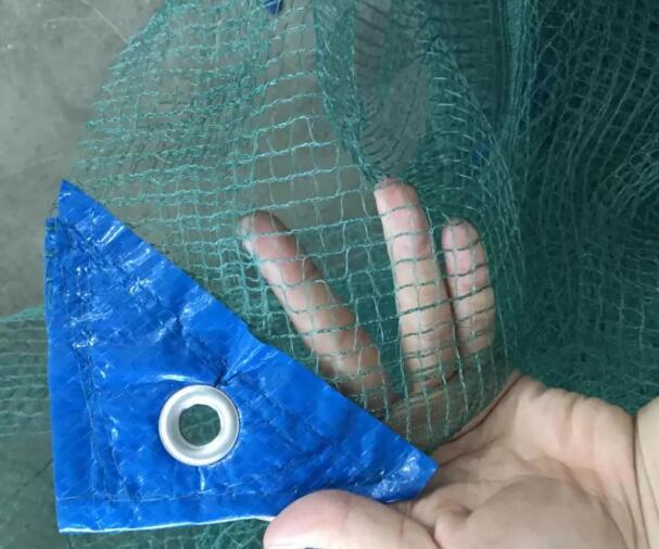 olive net10