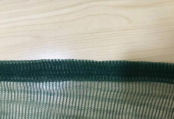 olive 1