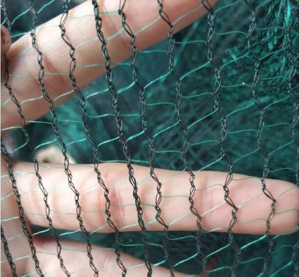 olive net9