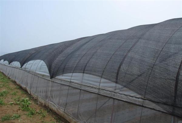 Difference Between Shade Net and Inside and Outside of Greenhouse