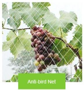 anti bird net