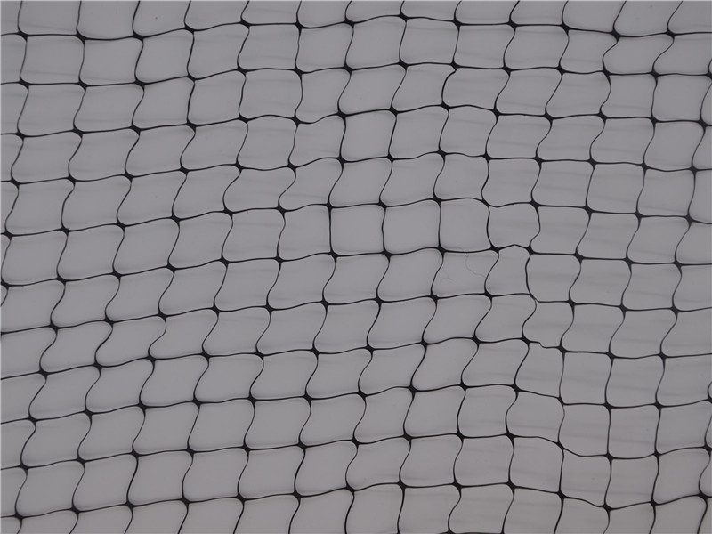 Black plant support net online sale