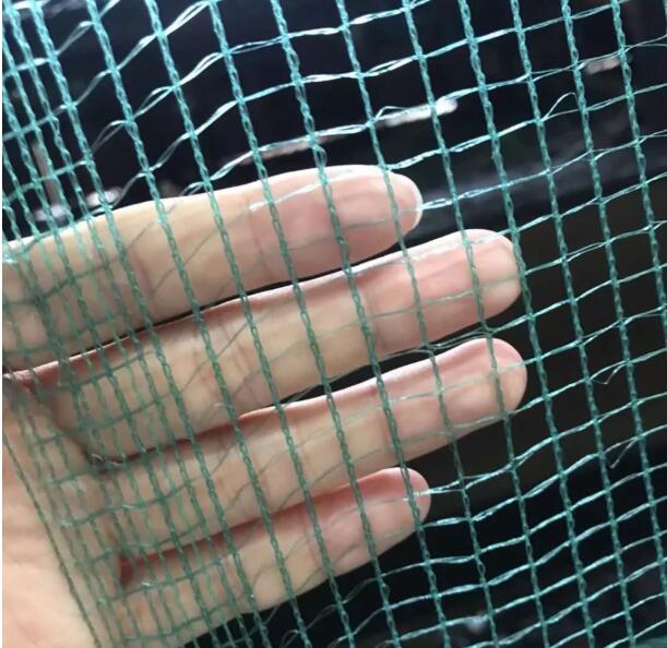 olive net8