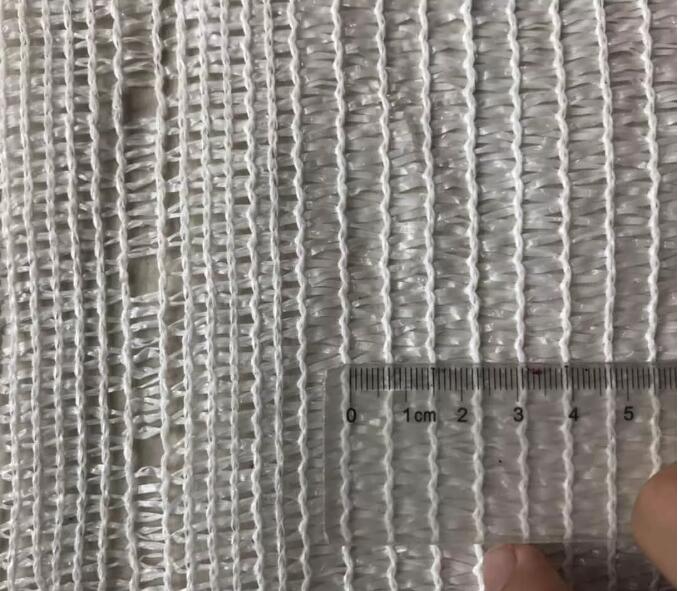 olive net19