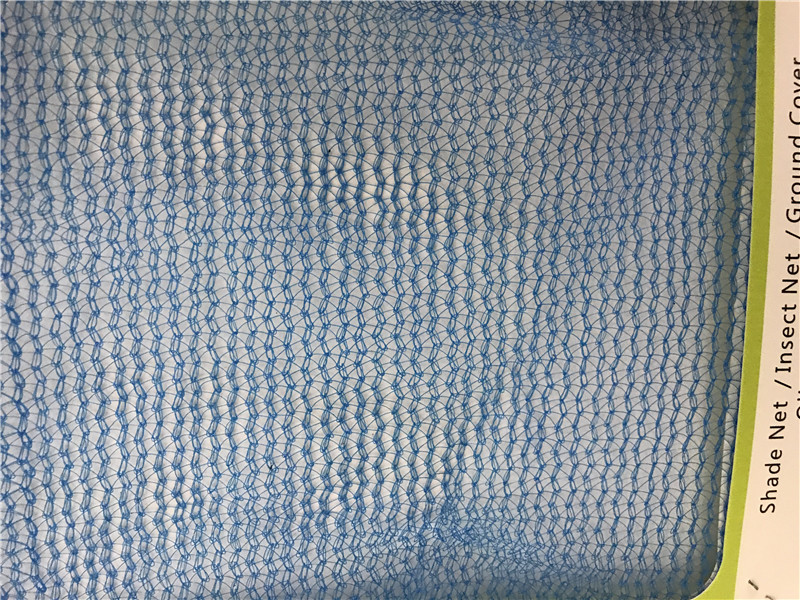 Plastic Protection Safety 50GSM Blue Scaffold Net 