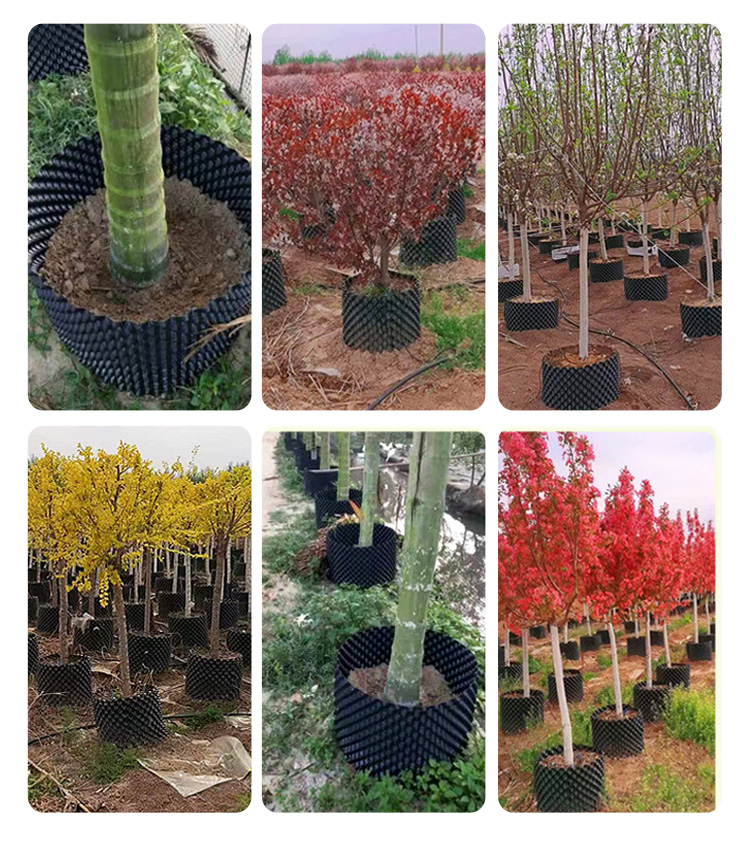 Root Controlling Pot