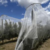 orchards hail net
