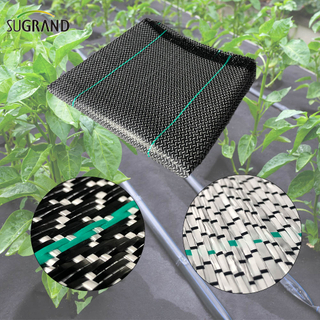 Black And White Ground Cover 0.7*100m Weed Mat for Chile Market