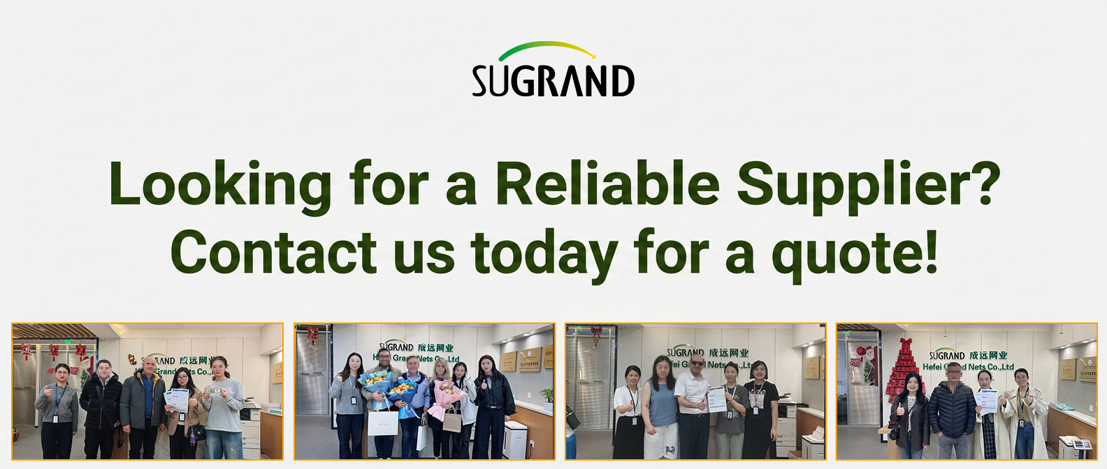 SUGRAND olive net.jpg