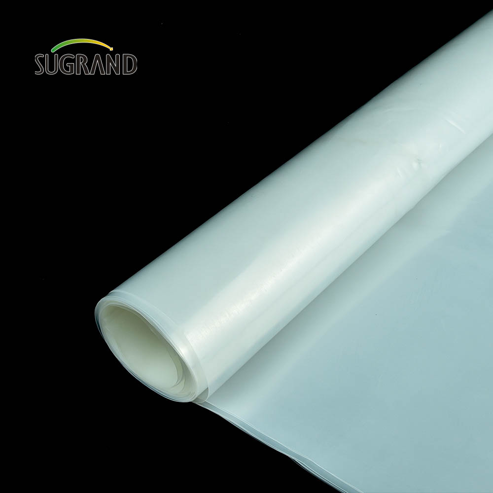 Cheap Factory Price Greenhouse Film Waterproof 150 Micron Greenhouse Film for Vegetable Garden
