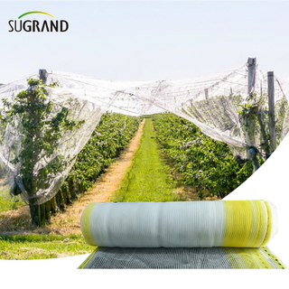 Wholesale Hail Netting White Anti Hail Net for Outdoor