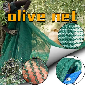 olive net (3)