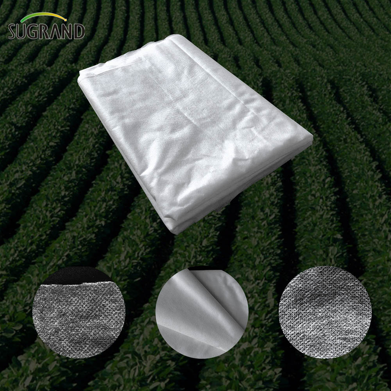 100G 2x50M Agriculture PP White Non Woven Cloth 