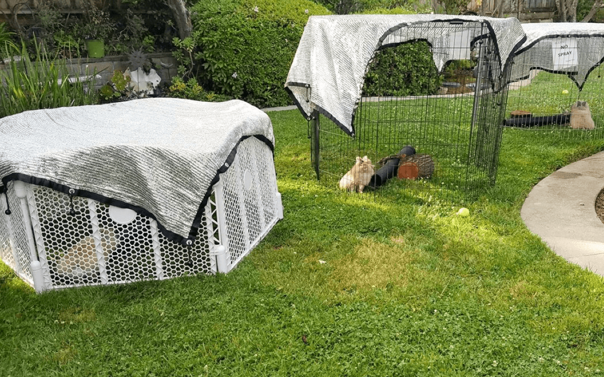 How To Measure for A Sail Shade​