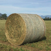 Bale Net Wholesale