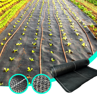 Hot Sale Weed Control Black Ground Cover for Horticulture