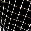 White 8*8mm Extruded Anti-bird Net for Fruits Bird Netting Suppliers