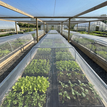 vegetable insect net.jpg