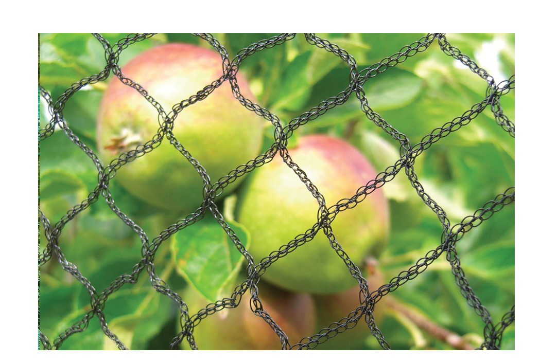 Premium Heavy Duty Bird Netting for Fruit Trees,Professional Manufacturer -  Grandnets