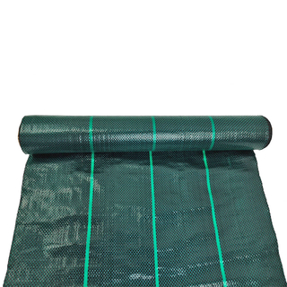 Dark Green Ground Cover Landscape Fabric Factory