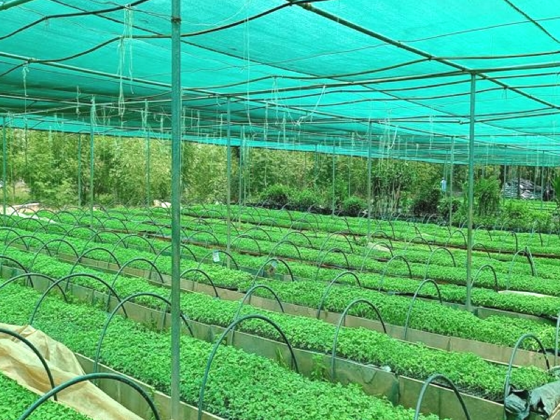 Agricultural Shade Net