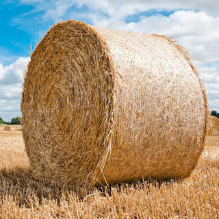 Pallet Bale Net Wholesale Silage Wrap Net