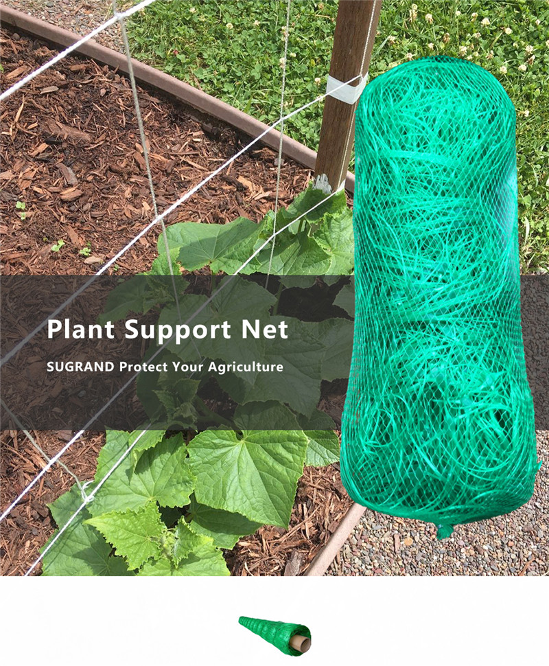 plant support net 1_副本