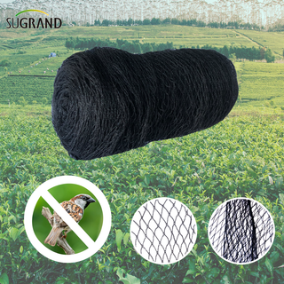 Black 17mX17m Pigeon Net Anti Bird Netting for Fruit Trees