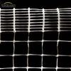 White 8*8mm Extruded Anti-bird Net for Fruits Bird Netting Suppliers