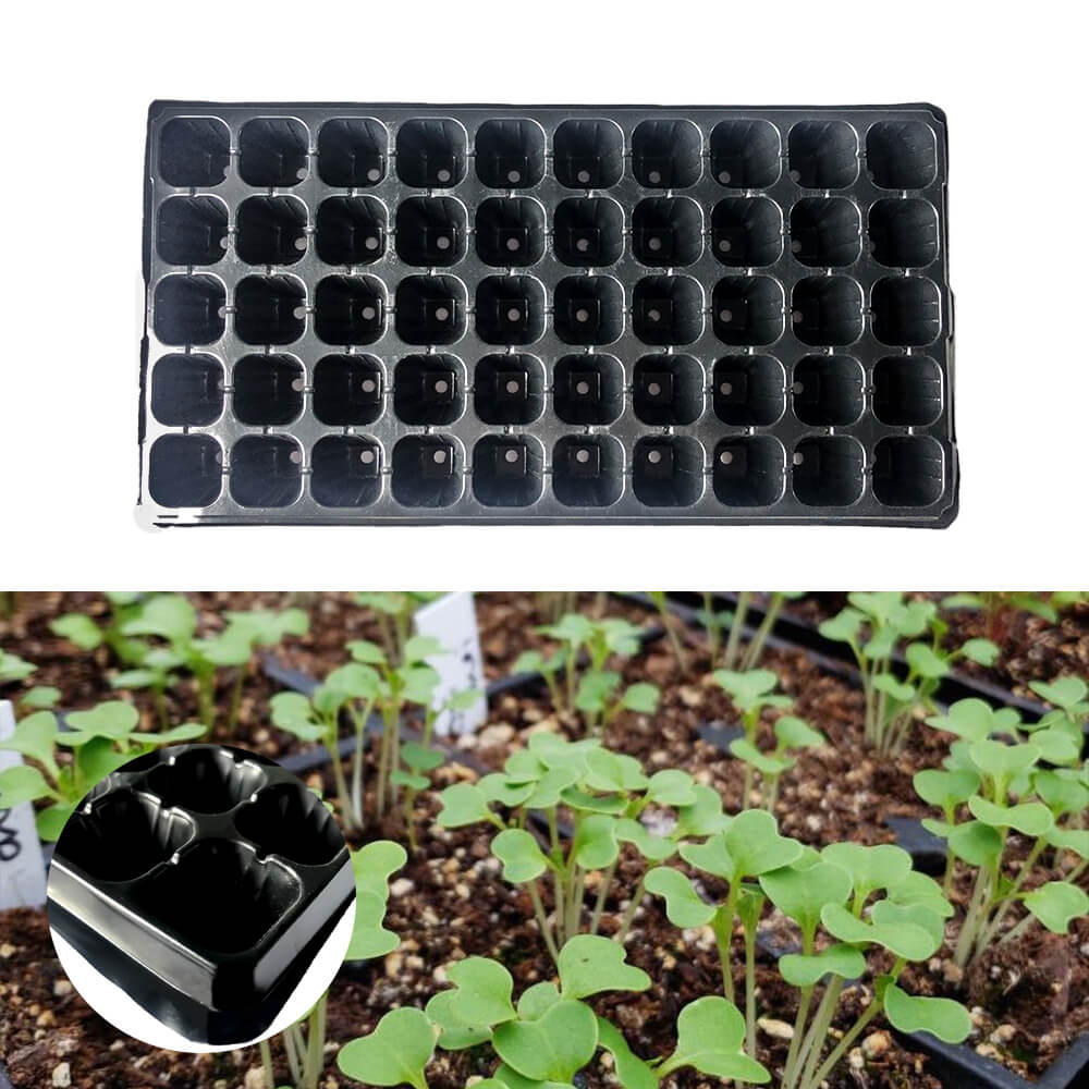 Seed Plant Germination Vegetables Flower Growing Tray Garden Seedling tray